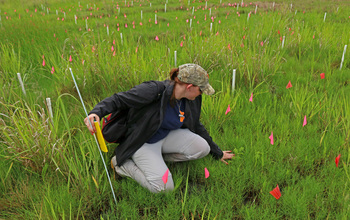 A female scientist kneeling in a grassy area, collecting samples.